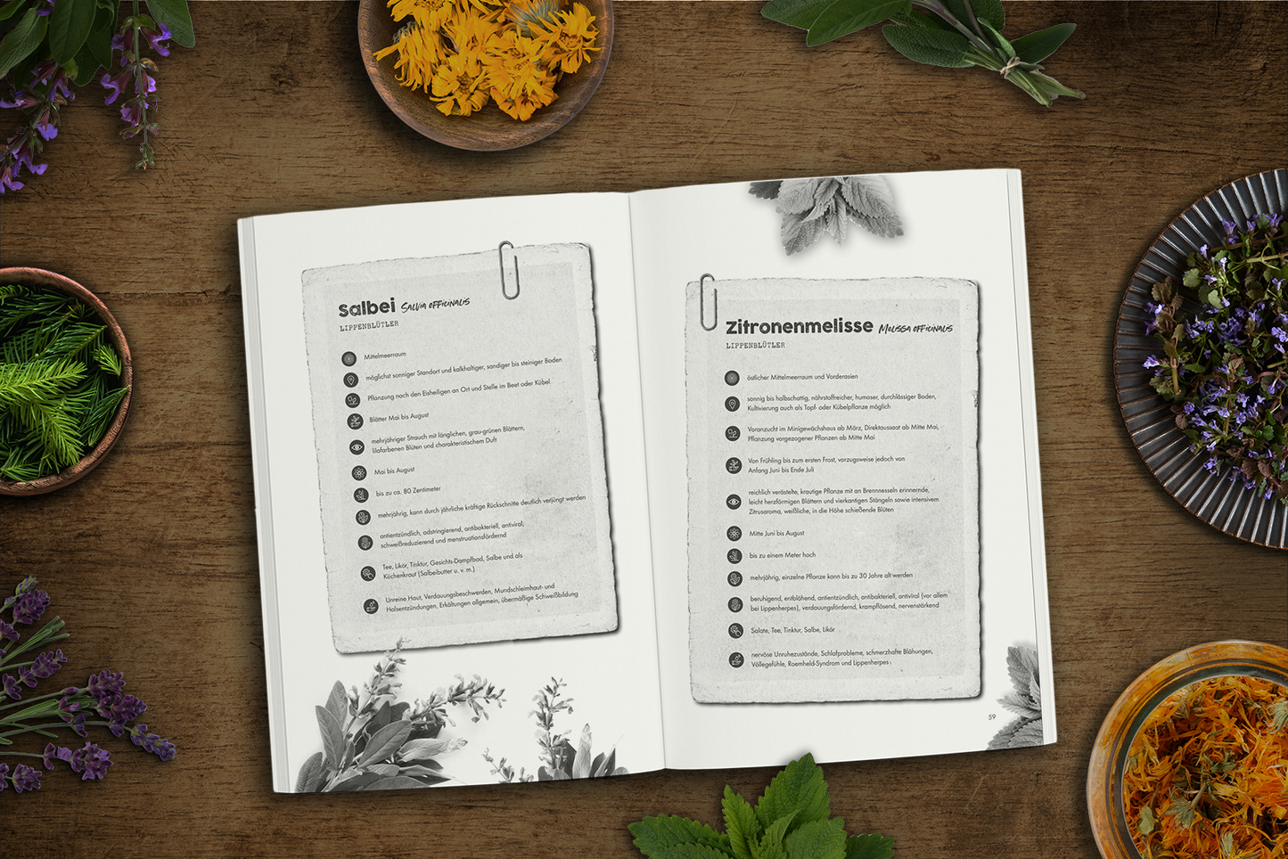 Das verlorene Handbuch der Kräutermedizin