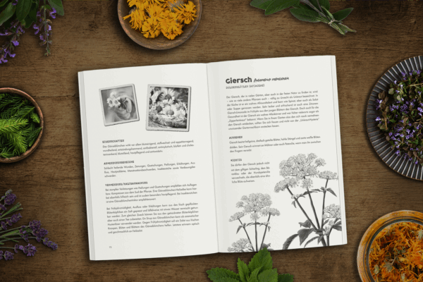 Das verlorene Handbuch der Kräutermedizin